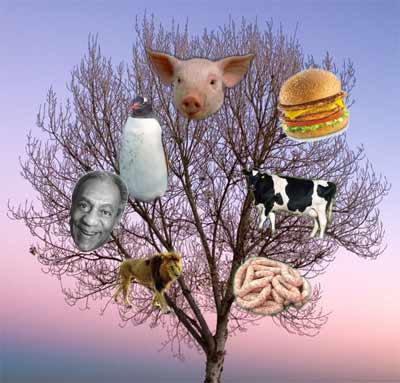 Growing meat