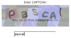 CAPTCHA field
